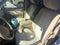 2010 Ford Explorer XLT