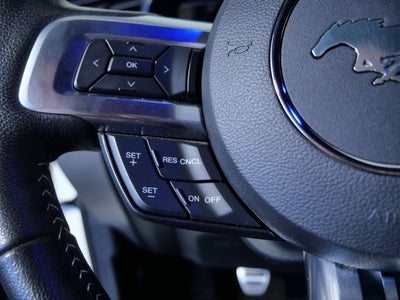 2015 Ford Mustang GT 50 Years Limited Edition