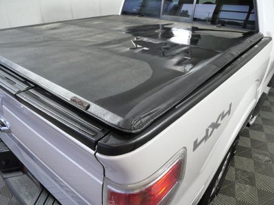 2010 Ford F-150 Base