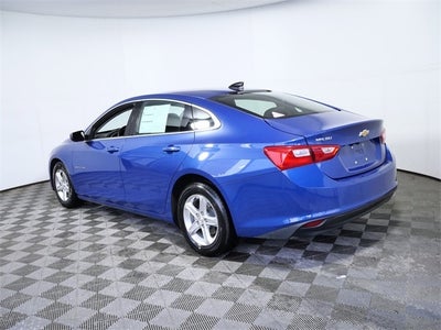 2023 Chevrolet Malibu LS 1FL