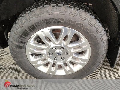 2013 Ford F-150 Platinum