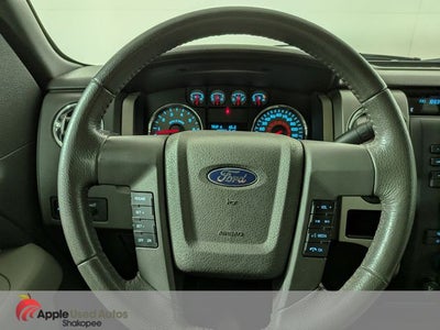 2010 Ford F-150 XLT